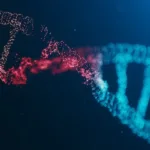 Twisted stand of DNA in blue tones with a small shading of red against a midnight-blue background.